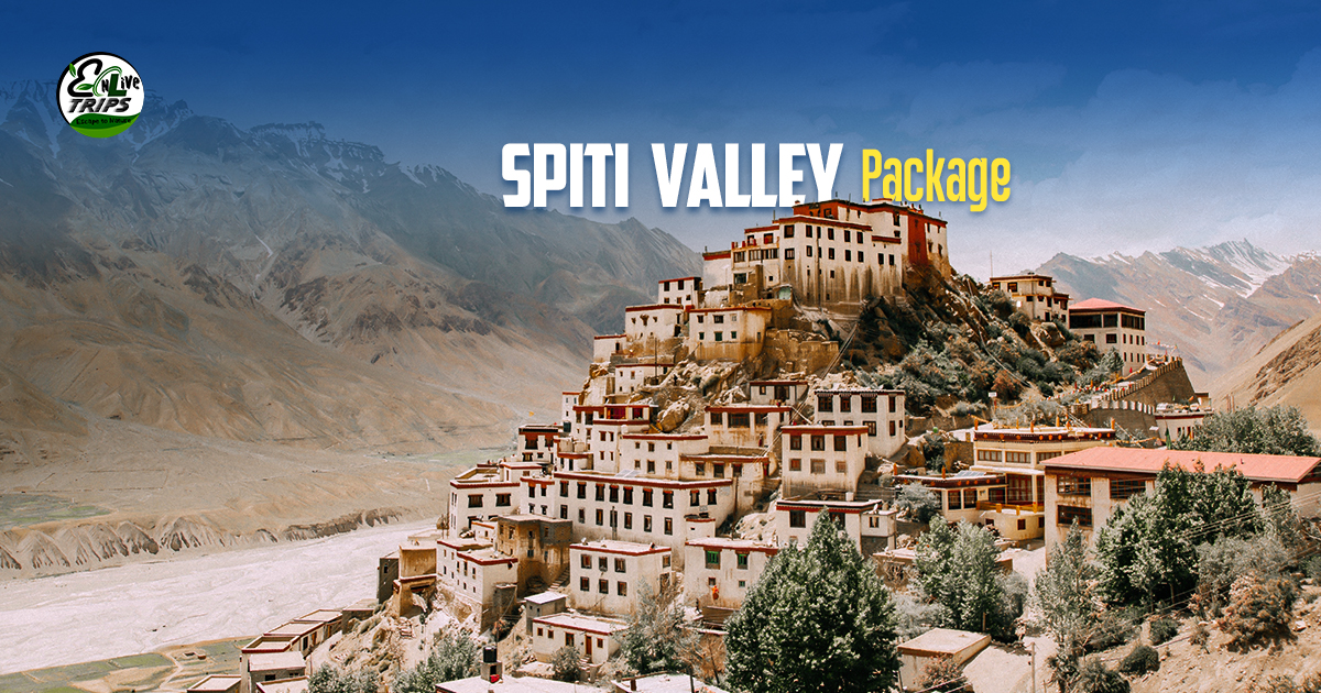Spiti valley packages